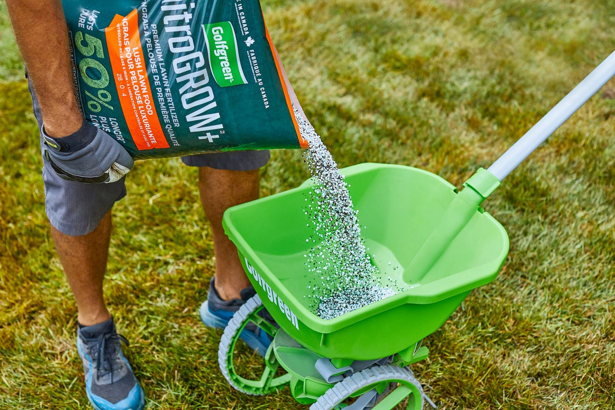 Golfgreen Nitrogrow+ Premium Nitrogen Enriched Lush Lawn Fertilizer, 28-0-4, 5-kg
