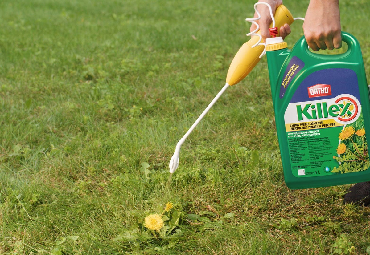 Ortho Killex Lawn Weed Control with Wand, 4-L