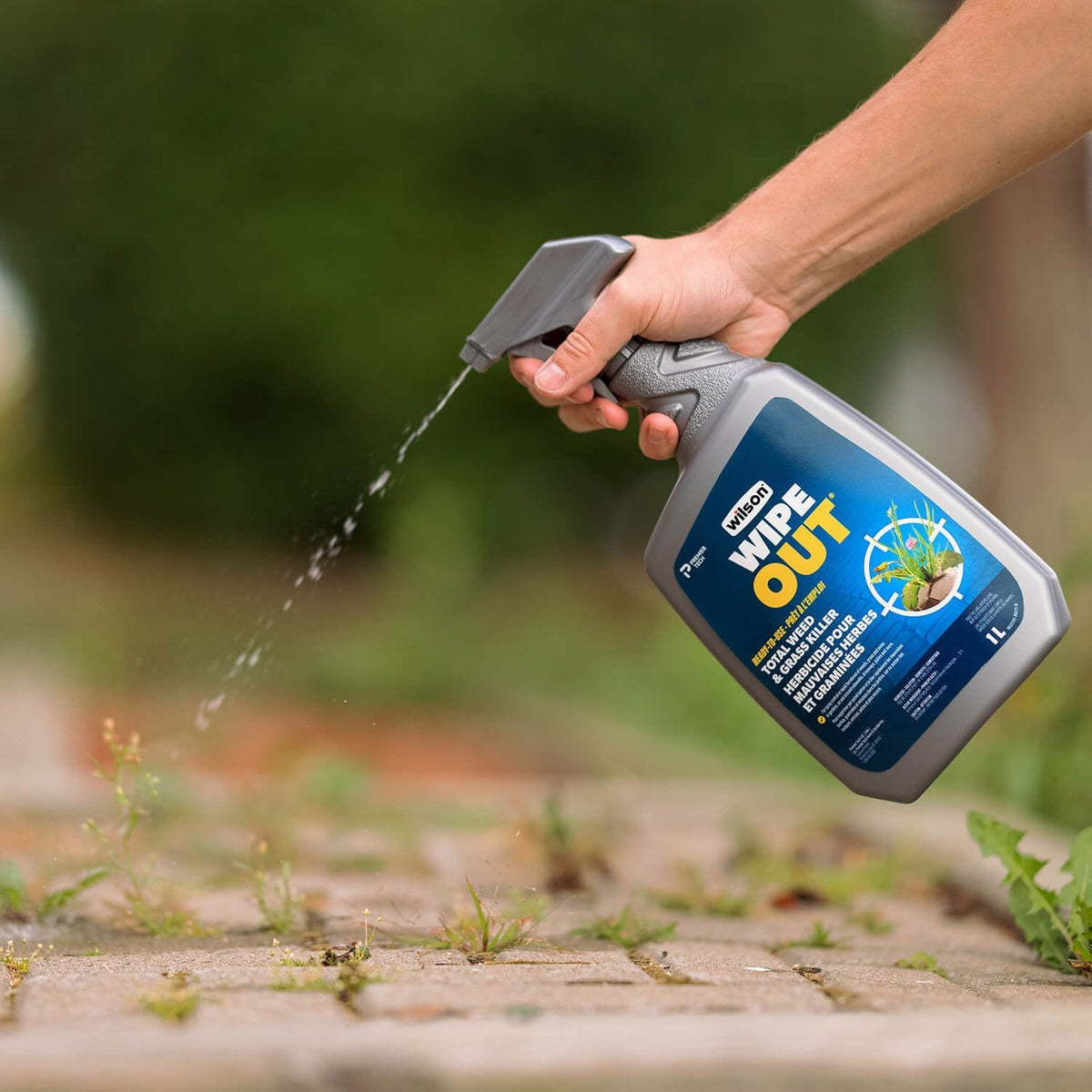 Wilson Wipe Out Ready-to-Use Total Weed & Grass Killer, Herbicide Sprayer, 1-L