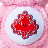 Care Bears Medium Plush True North Bear 2.0, 14-in