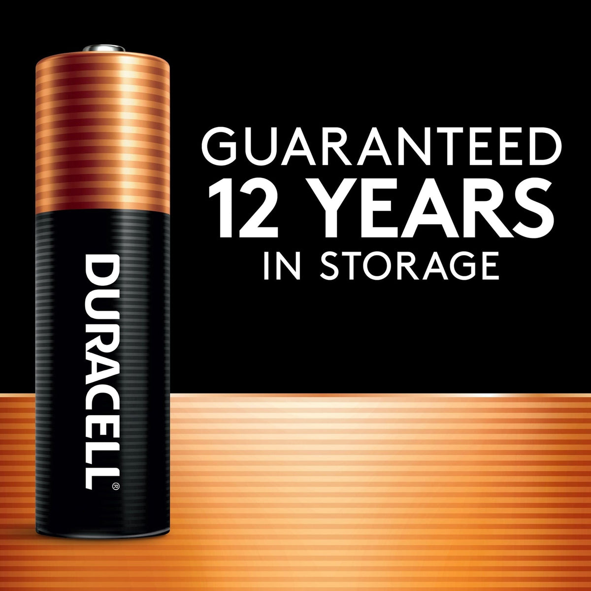 Duracell Coppertop AA Alkaline Batteries, All Purpose, 8-pk