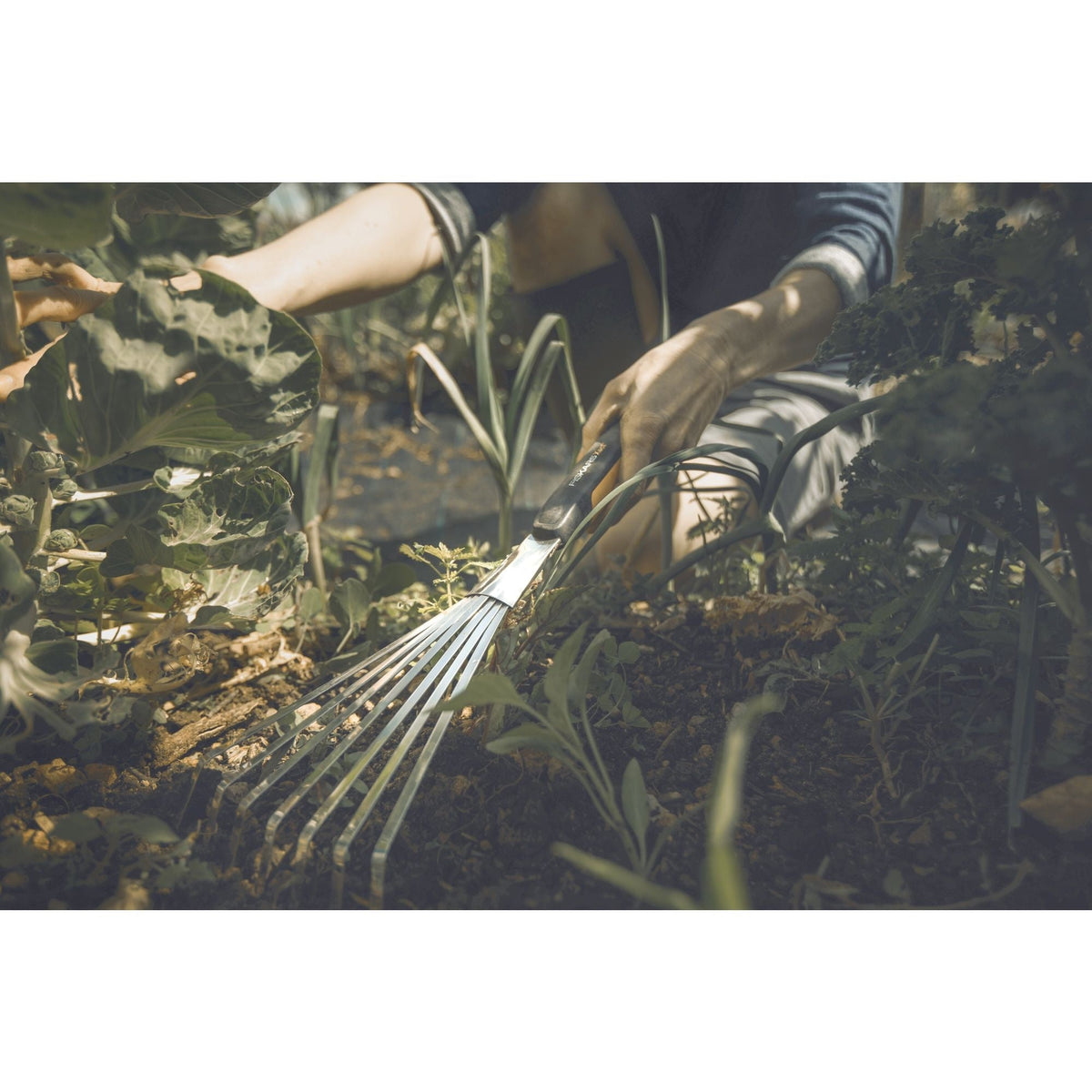 Fiskars Xact rake