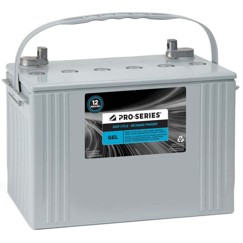 MOTOMASTER Group Size 51 Battery, 450 CCA