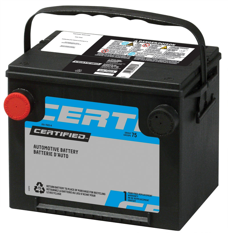 MOTOMASTER OEPLUS Group Size 65 Battery, 750 CCA