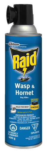 Raid Hornet & Wasp Spray, Aerosol Spray, 400 g