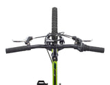 Raleigh GOAT Youth Bike with V-brakes, 20-in, Green