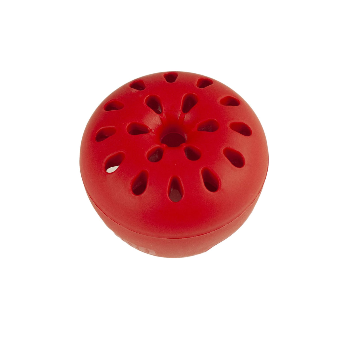 TERRO Fruit Fly Trap