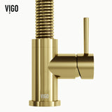 VIGO Edison Single Handle Pull Down Sprayer Kitchen Faucet, Matte Gold